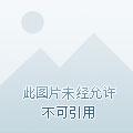 吞噬星空之愿望实现系统